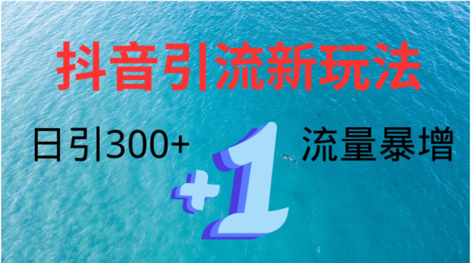 创业粉高效引流，抖音工具号玩法4.0，日引300+-荔枝网络