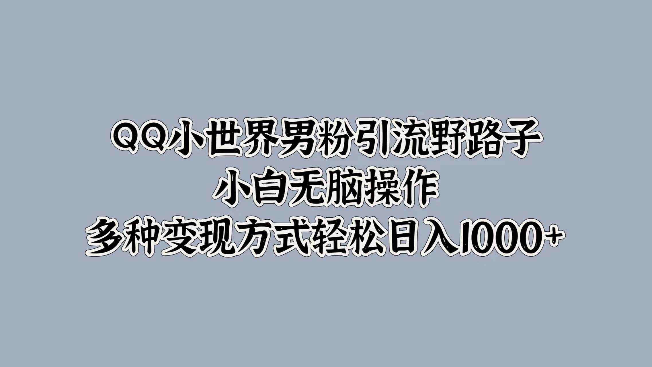 QQ小世界男粉引流野路子,小白无脑操作,多种变现方式轻松日入1000+-荔枝网络