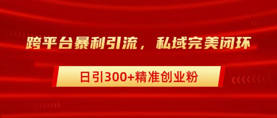 跨平台暴力引流，私域完美闭环，日引300+精准创业粉-荔枝网络