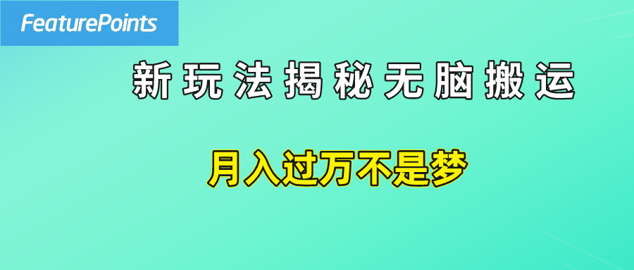 简单操作，每天50美元收入，搬运就是赚钱的秘诀！-荔枝网络