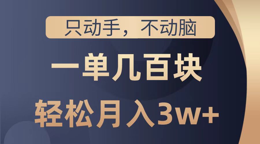 只动手不动脑，一单几百块，轻松月入2w+，看完就能直接操作，详细教程-荔枝网络