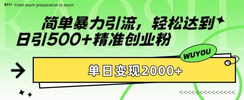 简单暴力引流轻松达到日引500+精准创业粉，单日变现2k【揭秘】-荔枝网络