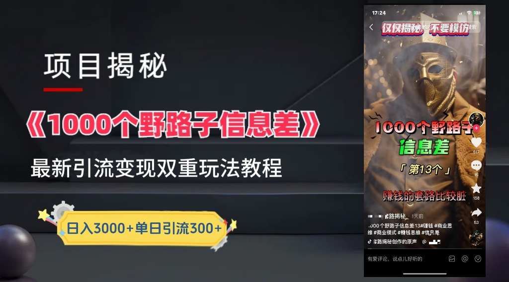 最新一千个野路子信息差玩法教程如何变现＋引流的玩法具体拆解！！！-荔枝网络