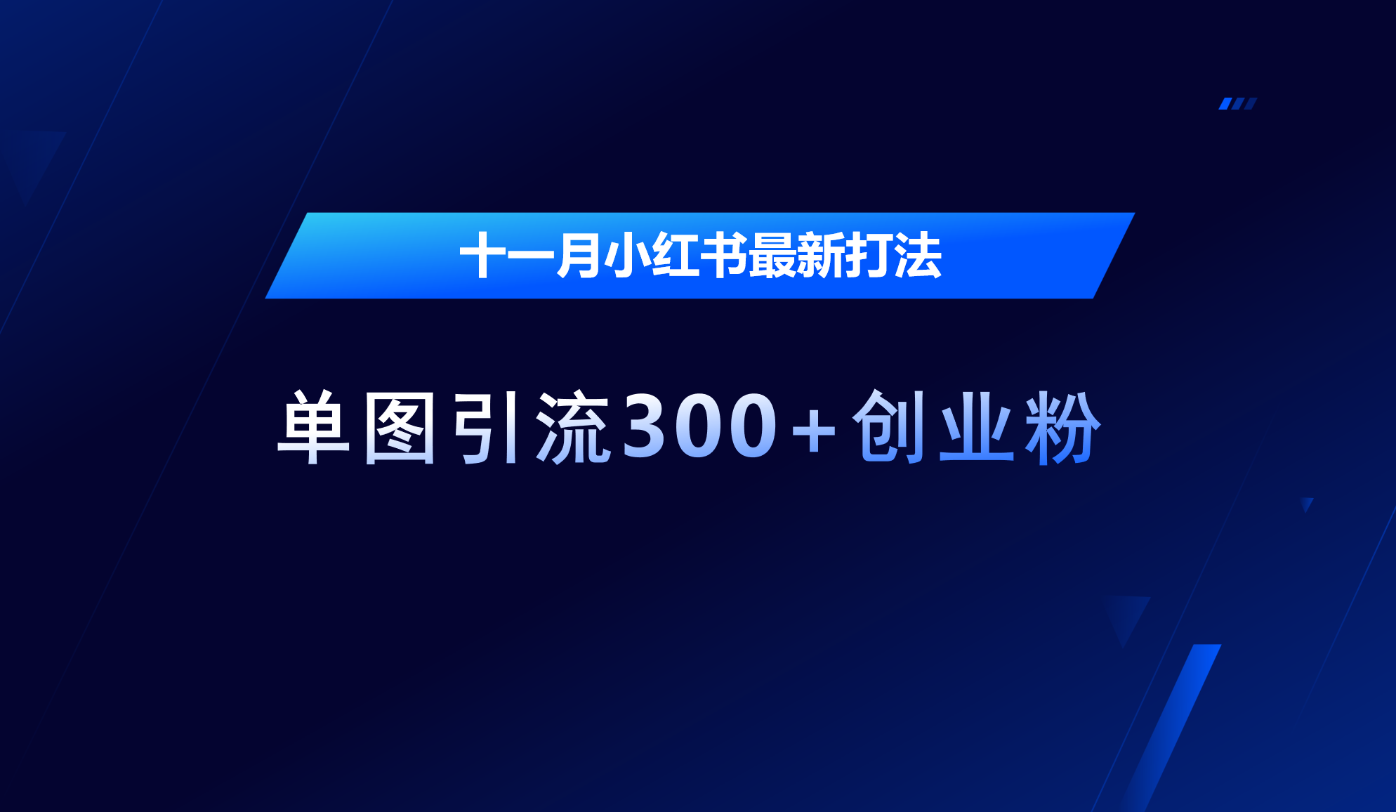 十一月，小红书最新打法，单图引流300+创业粉-荔枝网络