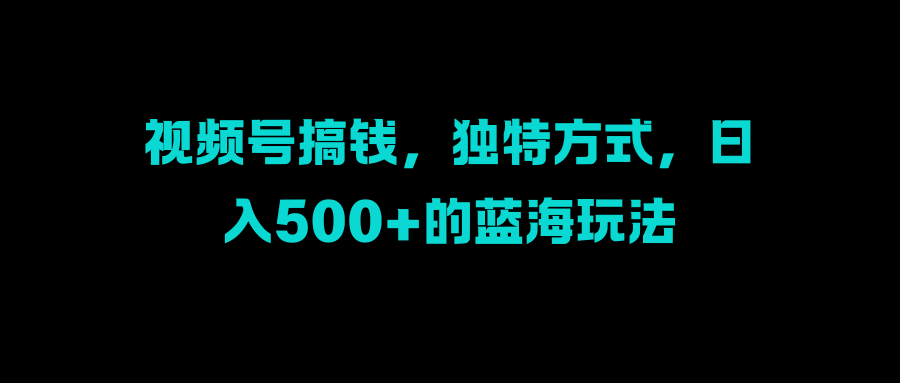 视频号搞钱，独特方式，日入500+的蓝海玩法-荔枝网络