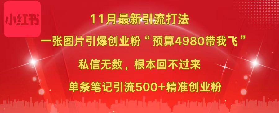 小红书11月最新图片打法，一张图片引爆创业粉“预算4980带我飞”，私信无数，根本回不过来，单条笔记引流500+精准创业粉-荔枝网络