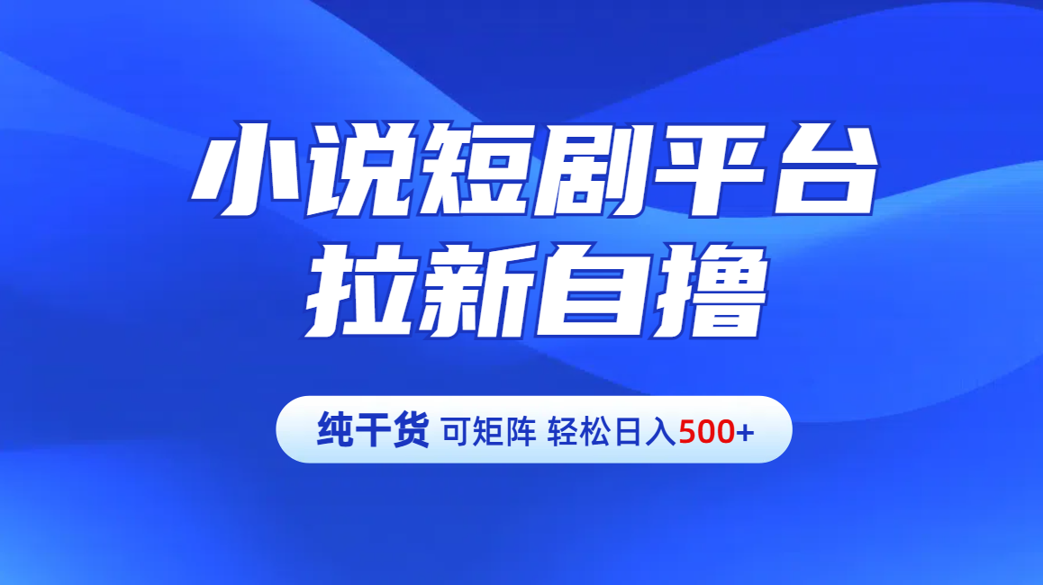 【纯干货】小说短剧平台拉新自撸玩法详解-单人轻松日入500+-荔枝网络