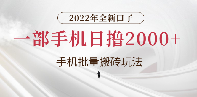 【副业项目3146期】2022年全新搬砖项目，手机批量搬运玩法，一部手机日撸1000+-荔枝网络