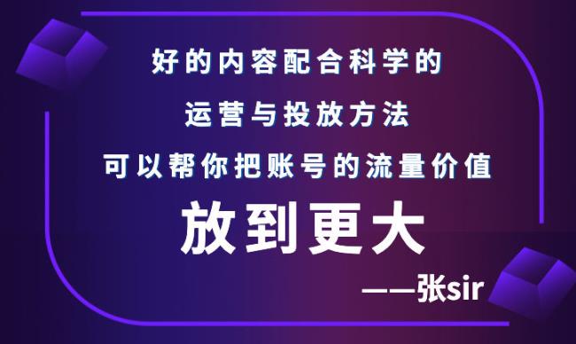 【副业项目3305期】（怎么投dou+快速涨粉）张sir账号流量增长课，让你的流量更精准-荔枝网络