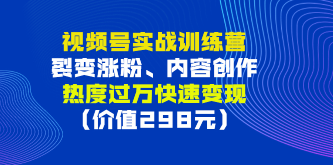 【副业项目3353期】视频号实战合集（视频号怎么创作推广涨粉）-荔枝网络