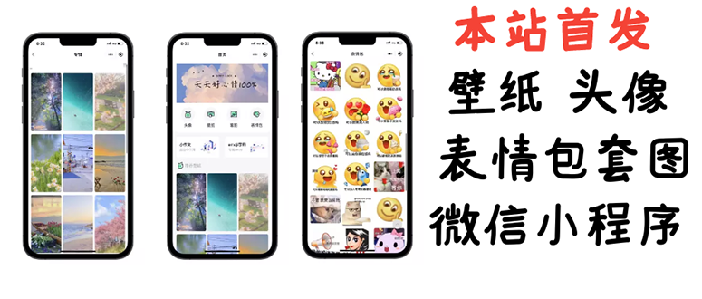 【副业项目3370期】(怎么利用微信表情包赚钱)小白0基础搭建微信壁纸头像表情包小程序,一单赚几百-荔枝网络