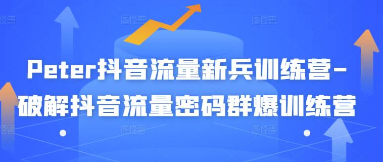 【副业项目3371期】破解抖音流量密码新人训练营（新人抖音怎么获取流量）-荔枝网络