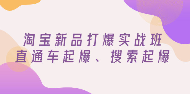 【副业项目3372期】淘宝新品打爆实战班（淘宝店铺如何增加流量和访客）-荔枝网络