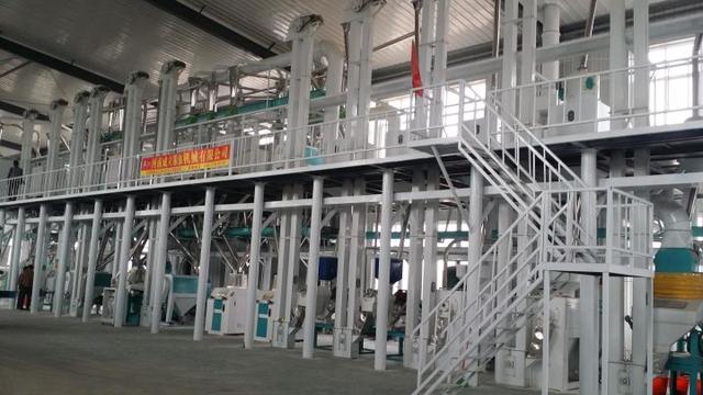五十吨玉米深加工项目赚钱吗？小型玉米深加工项目有哪些？-荔枝网络