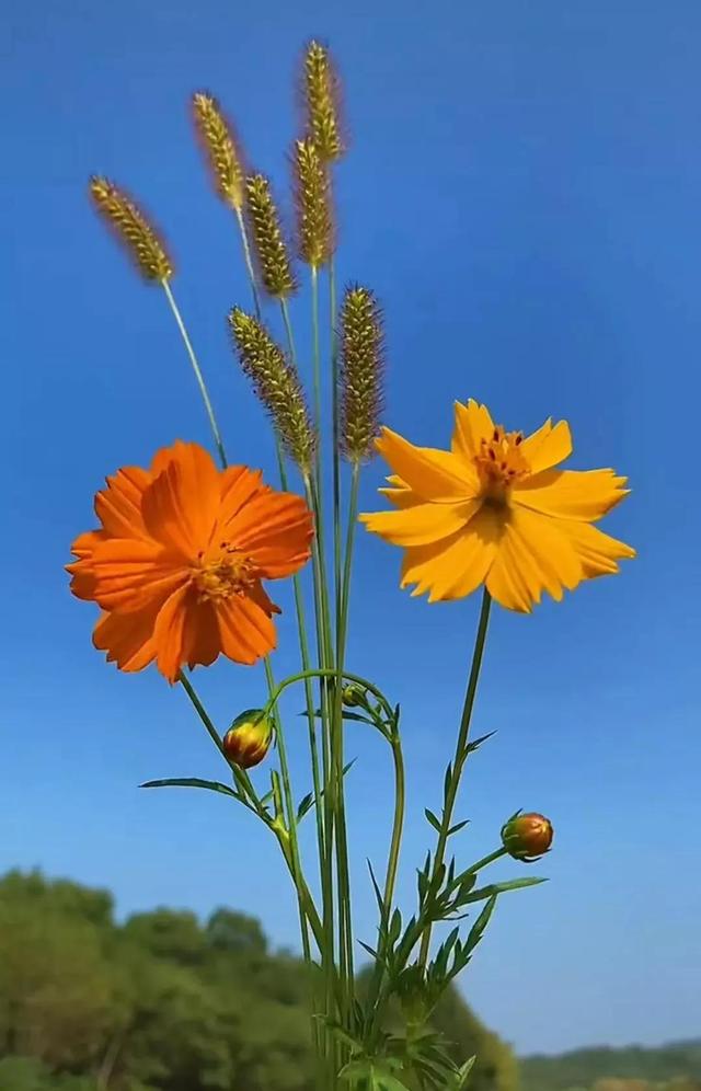 兼职刷单被骗的经历(兼职刷单是如何骗人的)-荔枝网络