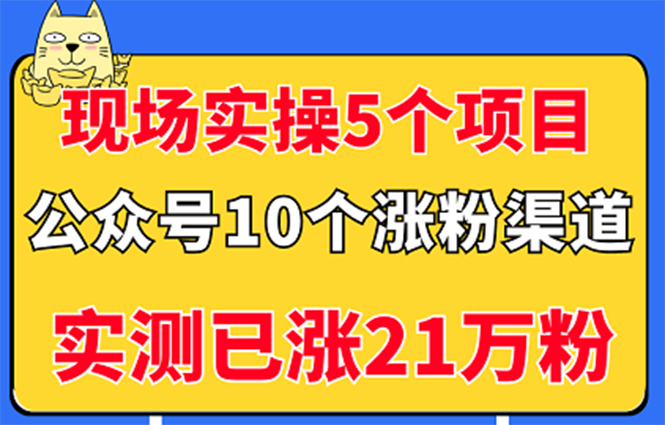 【副业项目3490期】公众号的10种矩阵引流的方法，实测已涨21万粉-荔枝网络