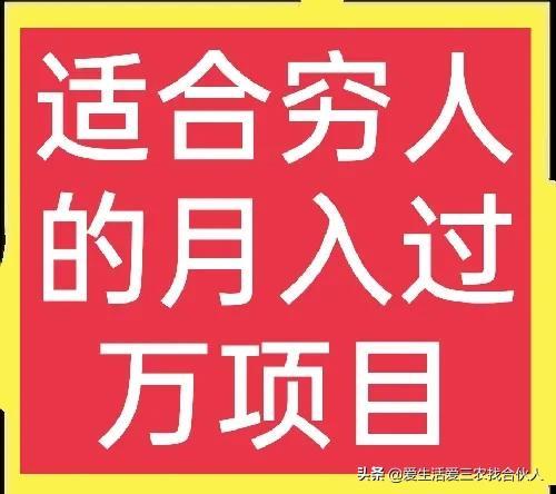 适合农村人做的赚钱项目（在农村做什么项目好）-荔枝网络