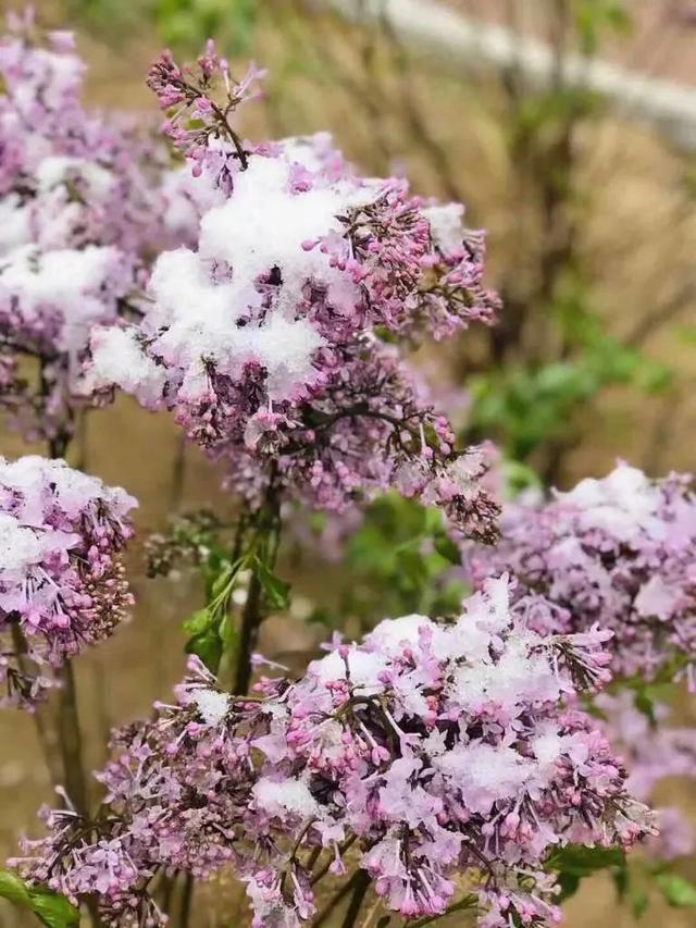 适合普通人做的几个小本生意-荔枝网络