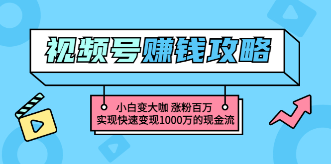 【副业项目3549期】怎么通过视频号赚钱（视频号赚钱详细教程攻略）-荔枝网络