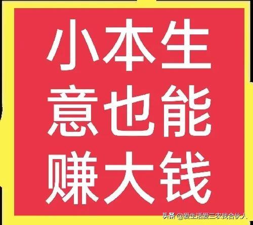 2022年投资小利润高的小生意,失业后做什么小本生意好插图 2022年投资小利润高的小生意,失业后做什么小本生意好插图