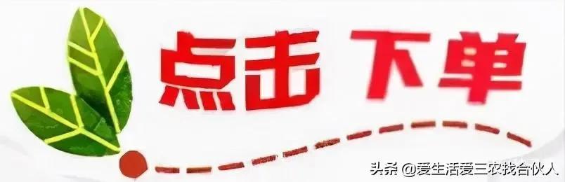 2022年投资小利润高的小生意,失业后做什么小本生意好插图8 2022年投资小利润高的小生意,失业后做什么小本生意好插图8
