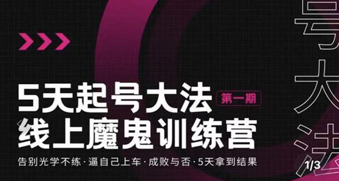 【副业项目3626期】五天起号魔鬼训练营，告别光学不练，逼自己上车，成败与否，5天拿到结果-荔枝网络