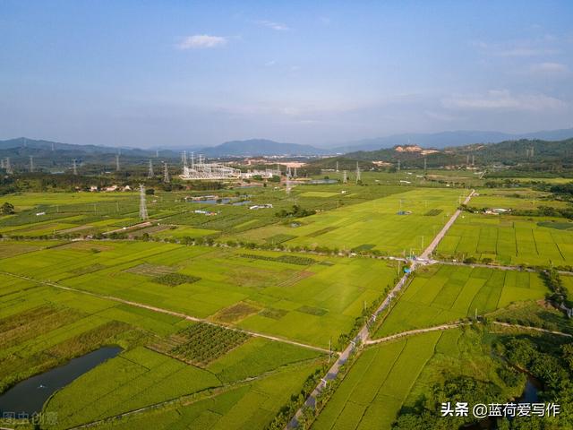 适合女孩子做的副业,关于副业的看法-荔枝网络