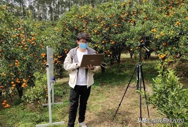 比较赚钱的生态农业项目有哪些-荔枝网络