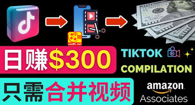 【副业项目3813期】搬运Tiktok短视频到Youtube赚钱，只需下载，合并视频，日赚300美元-荔枝网络