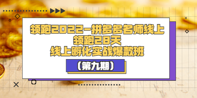 【副业项目3821期】拼多多名师线上领跑28天，拼多多线上孵化实操爆款班（第九期）-荔枝网络