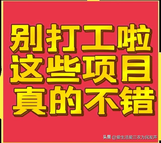 比打工强的小生意，农村小项目有哪些-荔枝网络