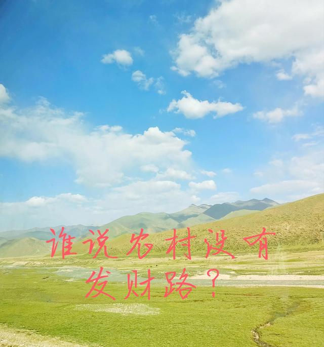 农村闷声发大财的生意，加工玉米芯致富-荔枝网络