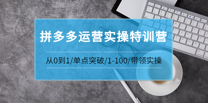 【副业项目3863期】拼多多运营实操特训营：拼多多直通车进阶优化技巧，拼多多如何操作利润最大化-荔枝网络