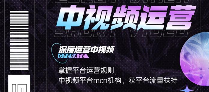 【副业项目3869期】0基础5天学会中视频创作,中视频怎么运营,掌握平台运营规则-荔枝网络
