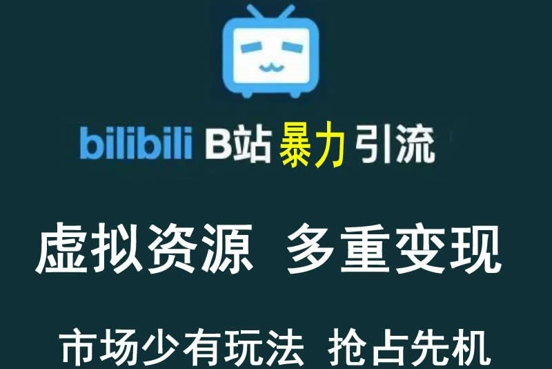 【副业项目3871期】虚拟资源引流方案：B站暴力引流 ，多重变现法-荔枝网络