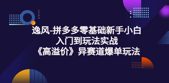 【副业项目3877期】逸风-拼多多新手小白入门到玩法实战，异赛道爆单玩法实操课-荔枝网络