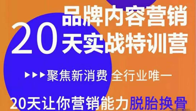 【副业项目3899期】《内容营销实操特训营》20天让你营销能力脱胎换骨（价值3999）-荔枝网络