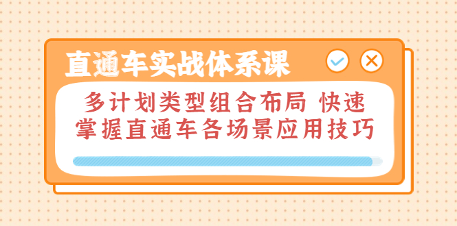 【副业项目3910期】直通车实战体系课：多计划类型组合布局，快速掌握直通车各场景应用技巧-荔枝网络