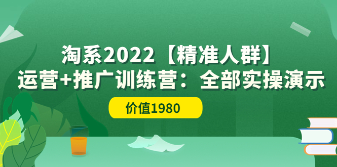 【副业项目3941期】淘系2022【精准人群】运营+推广训练营：全部实操演示-荔枝网络