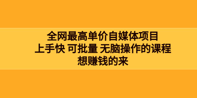 【副业项目3976期】全网最单高价自媒体项目：上手快 可批量 无脑操作的课程，想赚钱的来-荔枝网络