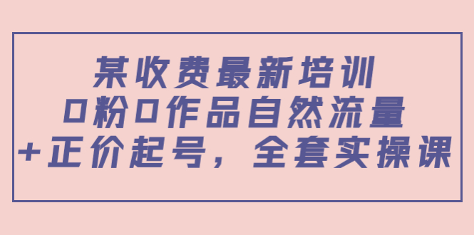 【副业项目4039期】某收费最新培训：0粉0作品自然流量+正价起号，全套实操课-荔枝网络