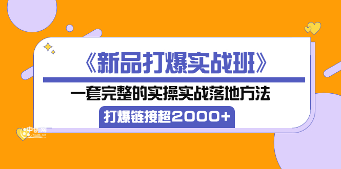 【副业项目4088期】《新品打爆实战班》一套完整的实操实战落地方法，打爆链接超2000+（38节课)-荔枝网络
