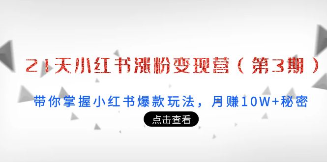 【副业项目4158期】21天小红书涨粉变现营（第3期）：带你掌握小红书爆款玩法，月赚10W+秘密-荔枝网络