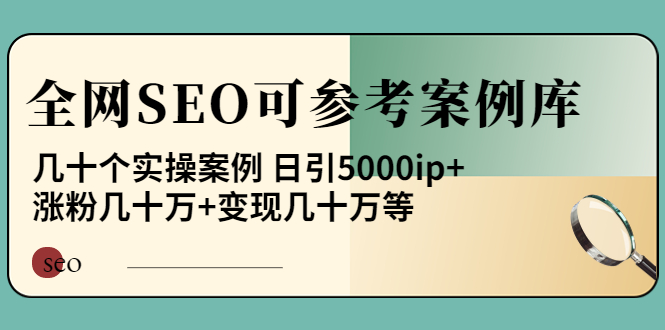 【副业项目4188期】《全网SEO可参考案例库》几十个实操案例 日引5000ip+涨粉百W+变现几十W等-荔枝网络