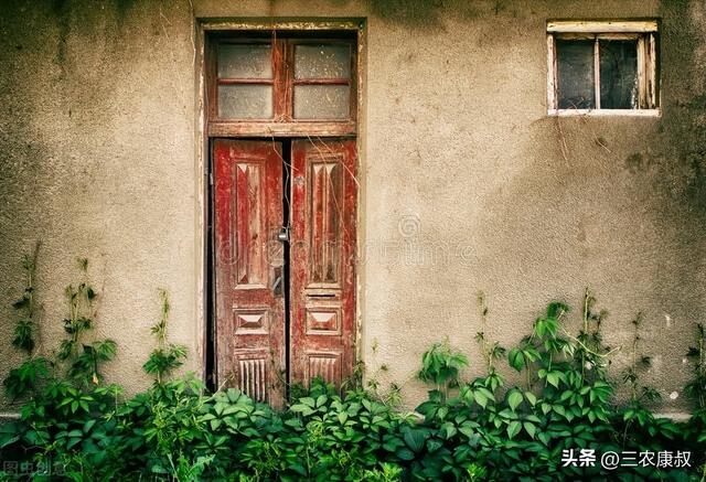 2022年适合在农村做的5种小买卖,一天挣500元并不难插图4 2022年适合在农村做的5种小买卖,一天挣500元并不难插图4