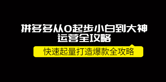 【副业项目4227期】拼多多从0起步小白到大神运营全攻略，快速起量打造10W+爆款全攻略-荔枝网络