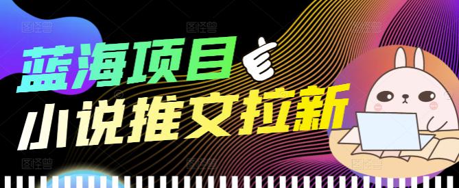 【副业项目4251期】外面收费6880的小说推文拉新项目，个人工作室可批量做【详细教程】-荔枝网络