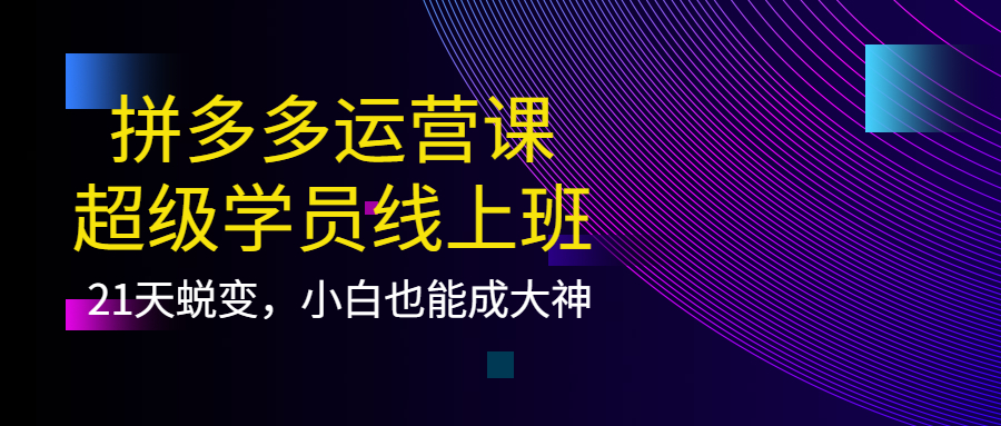 【副业项目4260期】拼多多运营课：超级学员线上班，21天蜕变，小白也能成大神-荔枝网络