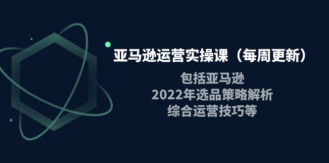 【副业项目4284期】亚马逊运营实操课:包括亚马逊2022选品策略解析,综合运营技巧等-荔枝网络