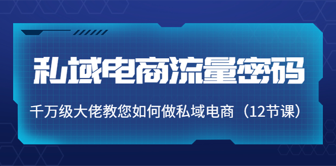 【副业项目4297期】私域电商流量密码：千万级大佬教您如何做私域电商（12节课）-荔枝网络
